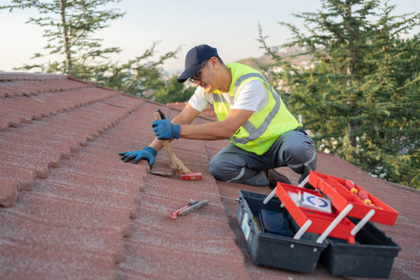 Best Commercial Roofing Services  in Havana, IL