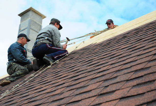 Best Residential Roofing Contractor  in Havana, IL