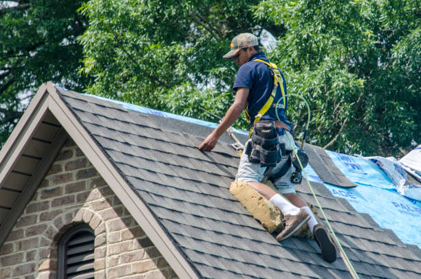Best Storm Damage Roof Repair  in Havana, IL